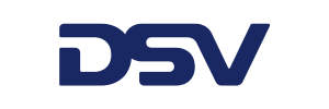 DSV Suivi Logo
